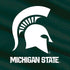 Michigan State University Away Grey Jersey Moto E5 Play Skin